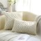 Decorative Throw Pillow Covers 18x18, Soft Plush Faux Wool Couch Pillow Covers for Home, Set of 2, Beige